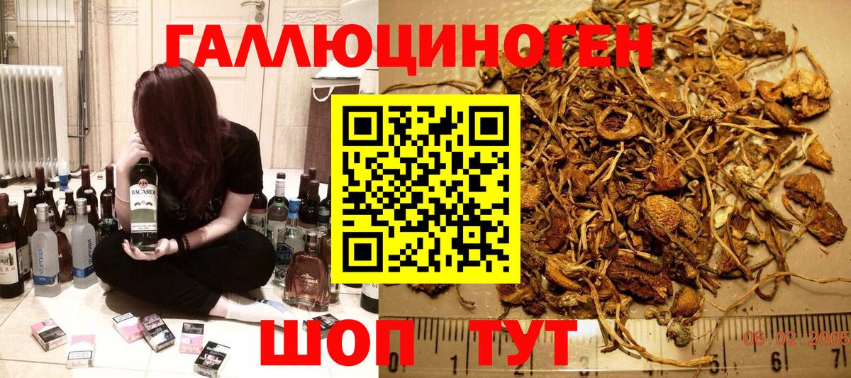 Южноуральск  Галлюциногенные грибы Psilocybe  Галлюциногенные грибы Psilocybine cubensis  Вход с VPN 