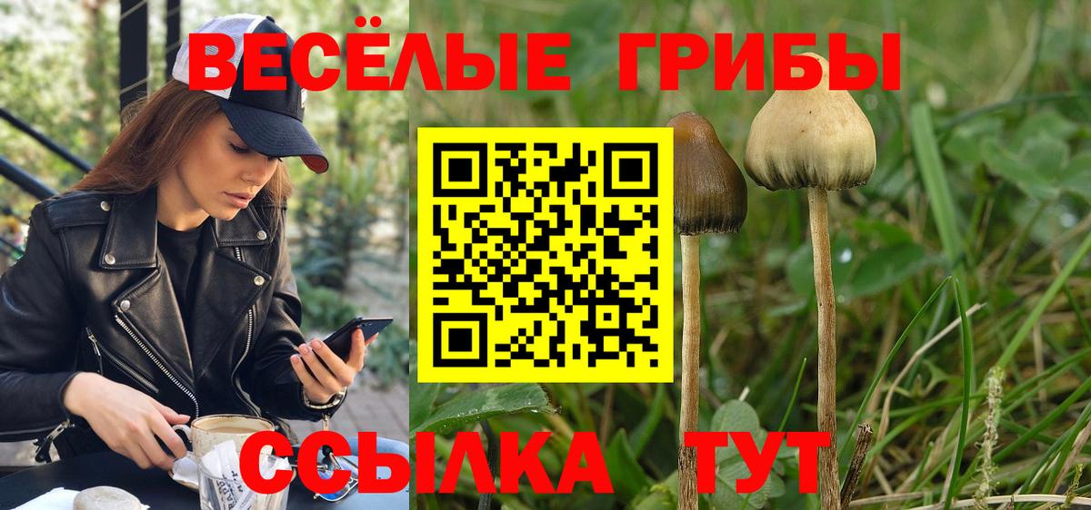 Галлюциногенные грибы прущие грибы Южноуральск